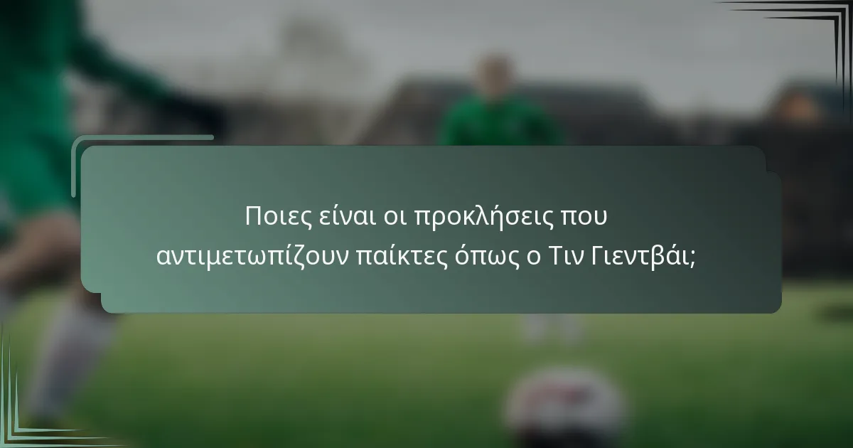 Ποιες είναι οι προκλήσεις που αντιμετωπίζουν παίκτες όπως ο Τιν Γιεντβάι;