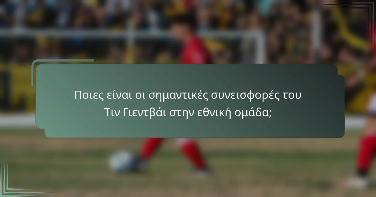 Ποιες είναι οι σημαντικές συνεισφορές του Τιν Γιεντβάι στην εθνική ομάδα;